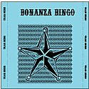 Image of a bonanza bingo card
